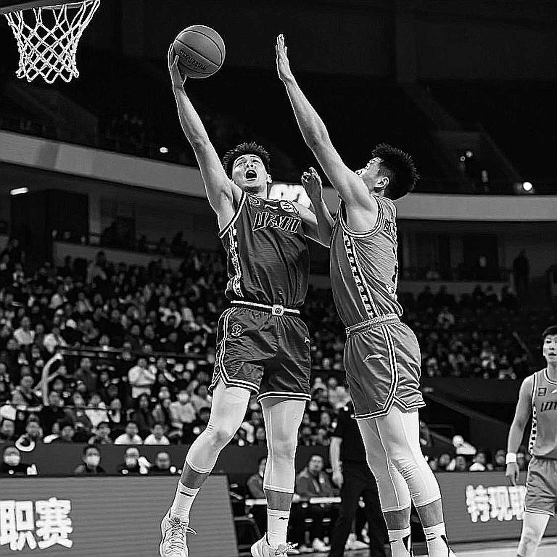 Raptors tập mở ở Laval: Tín hiệu thật nằm trong bảng dữ liệu trống