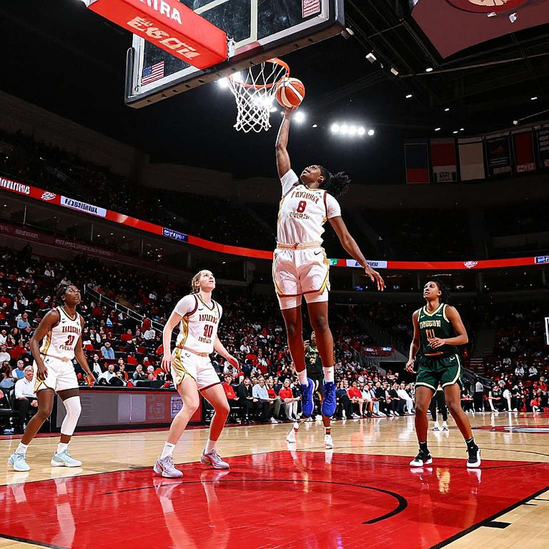 Giannis Antetokounmpo Về Miami Heat: Hai Trang Giấy, Một Canh Bạc Chưa Có Chữ Ký Xác Nhận