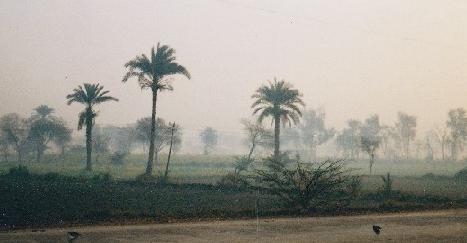 dera ghazi khan